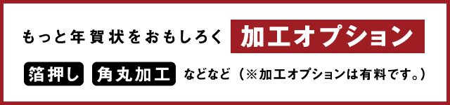 加工オプション