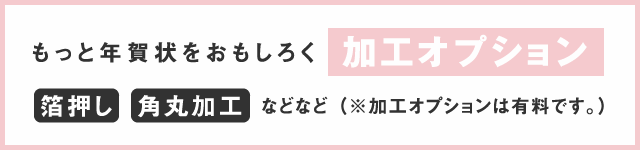 加工オプション